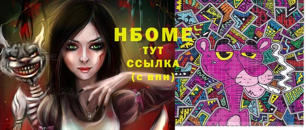 прущие грибы Лабытнанги