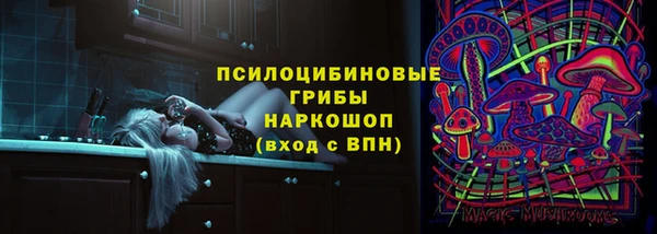 прущие грибы Лабытнанги