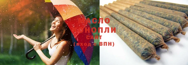 гашик Ладушкин