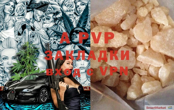 гашик Ладушкин