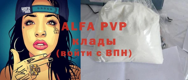 гашик Ладушкин
