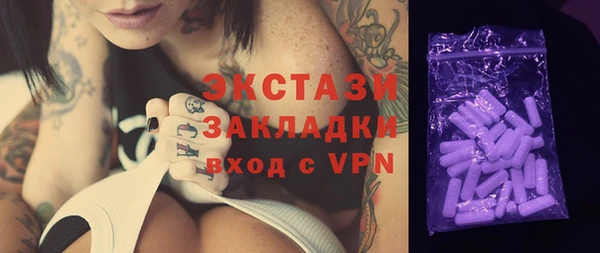 прущие грибы Лабытнанги