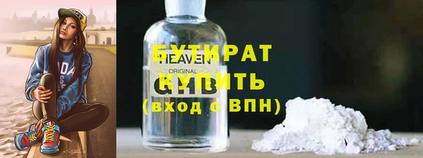 прущие грибы Лабытнанги