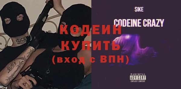 прущие грибы Лабытнанги