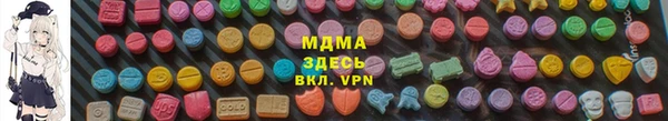 прущие грибы Лабытнанги