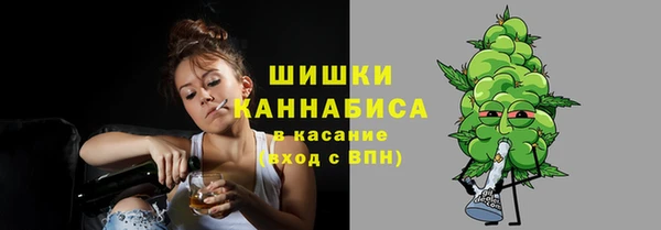 прущие грибы Лабытнанги