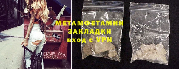 прущие грибы Лабытнанги