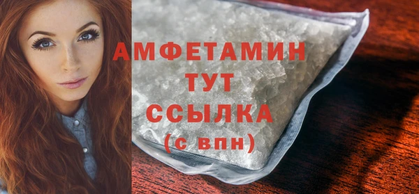 прущие грибы Лабытнанги