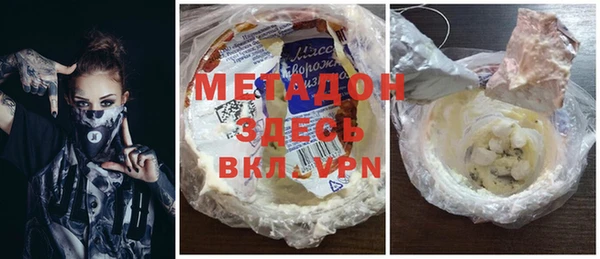 прущие грибы Лабытнанги