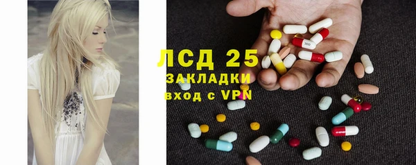 прущие грибы Лабытнанги