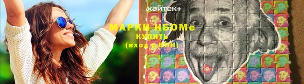 прущие грибы Лабытнанги